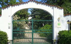 Cuore Verde
